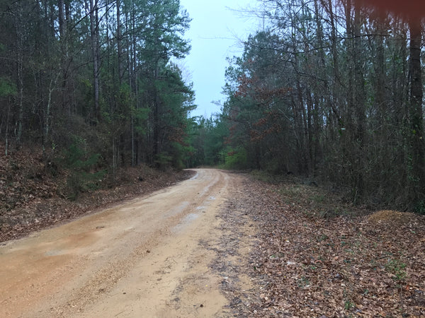 75+/- Acres in Pickens County